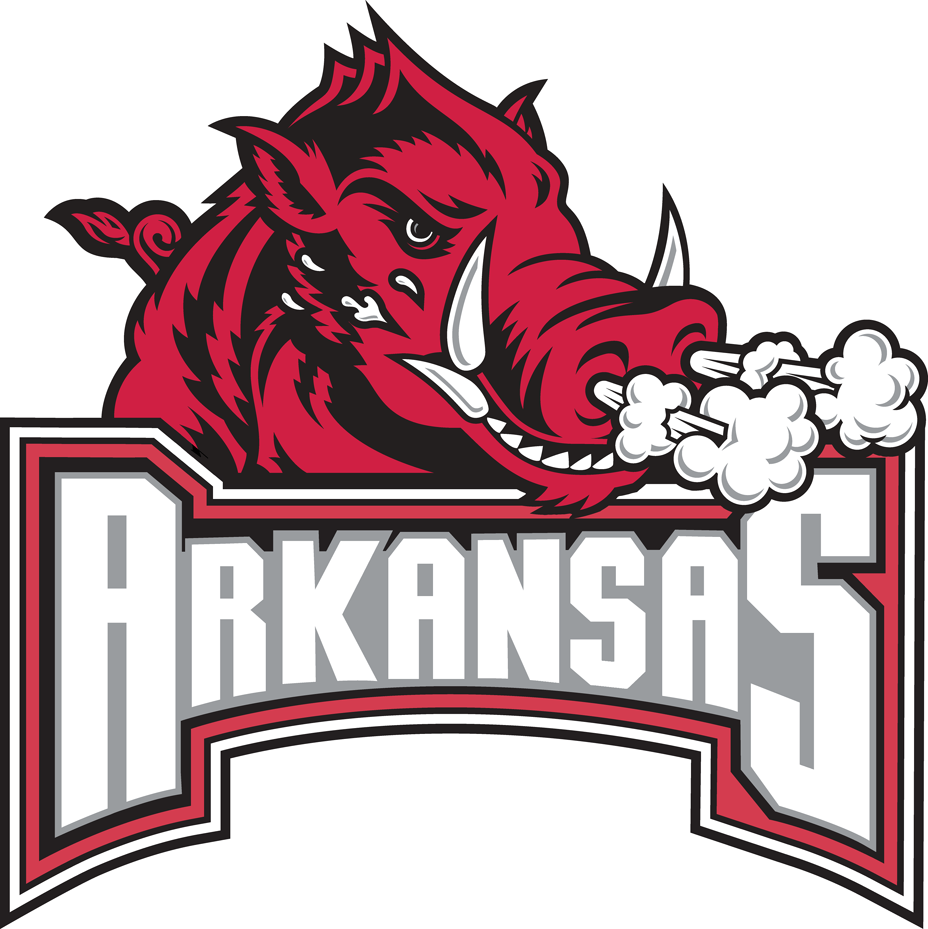 Arkansas Razorbacks 2001-2008 Secondary Logo t shirts iron on transfers